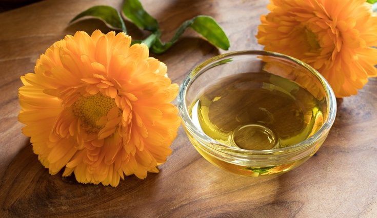 Debe regarla de forma moderada