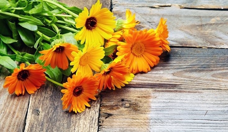 Se ha convertido en un ingrediente esencial de la cosmética