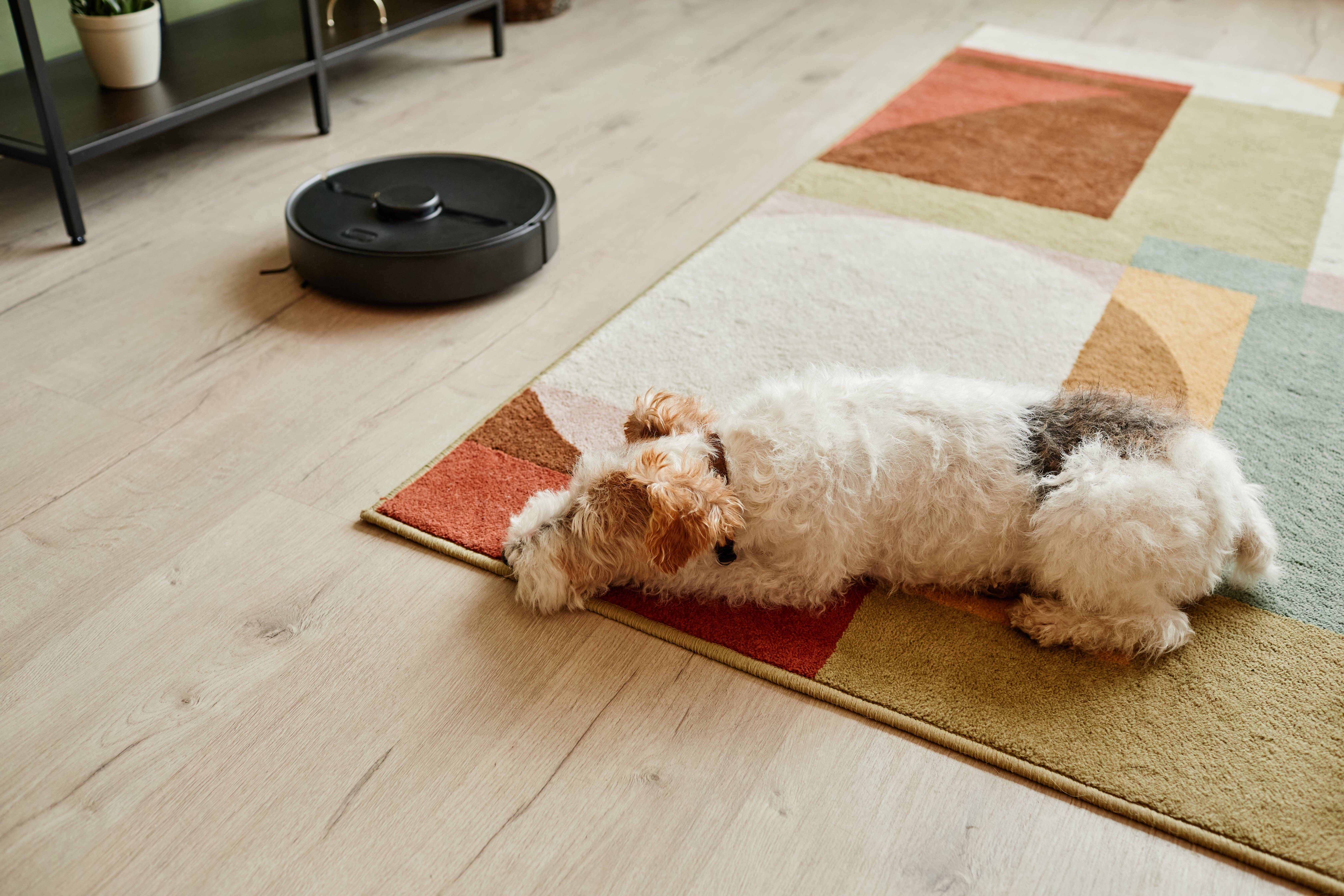 Utiliza tejidos como alfombras para aislar del frío