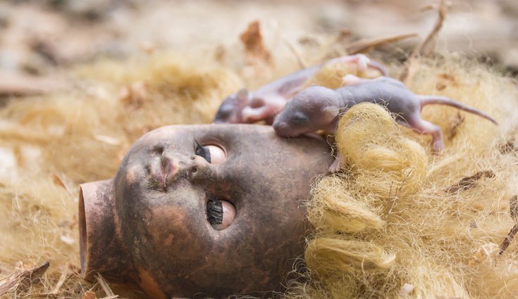 Los juguetes, los metales y otros productos no van al contenedor orgánico