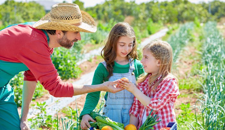 Los productos ecológicos suelen ser buenos a largo plazo, porque no contienen pesticidas que incluso pueden provocar enfermedades crónicas