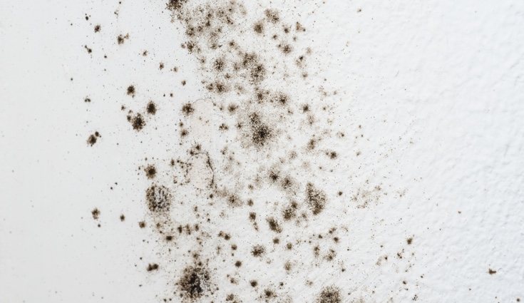Es importante limpiar la pared de polvo antes de atacar las manchas