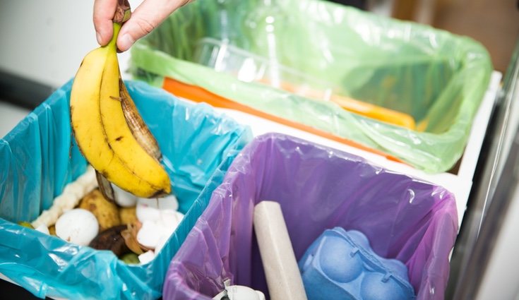 Los cubos de colores o personalizados ayudarán al niño a asociar el residuo con su color específico