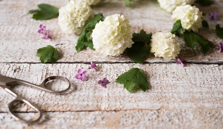 Hay que cortar el tallo de la flores para colocarlas en la corona
