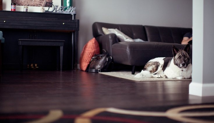 Las alfombras, pese a decorar, pueden ser farragosas en el cuidado del hogar