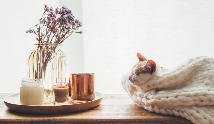 Lo verdaderamente importante en la decoración son las personas que habitan el hogar
