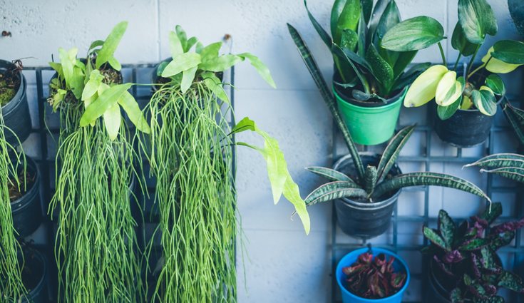 Es importante que la estructura sea resistente para soportar el peso