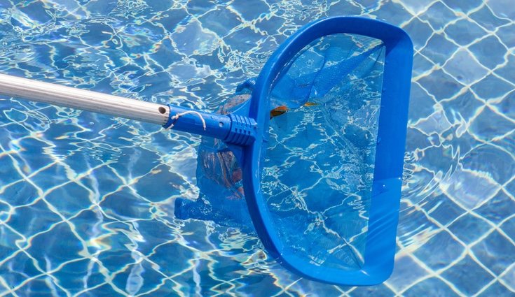 Revisa tu piscina de vez en cuando para limpiarla