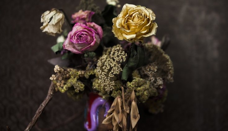 Cómo decorar con flores secas - Bekia Hogar