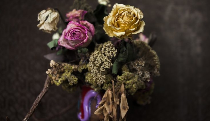 Cómo decorar con flores secas - Bekia Hogar Cómo decorar con flores secas - Bekia Hogar