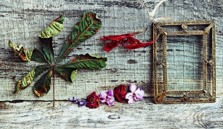 Puedes enmarcar las flores para dar un toque más sofisticado