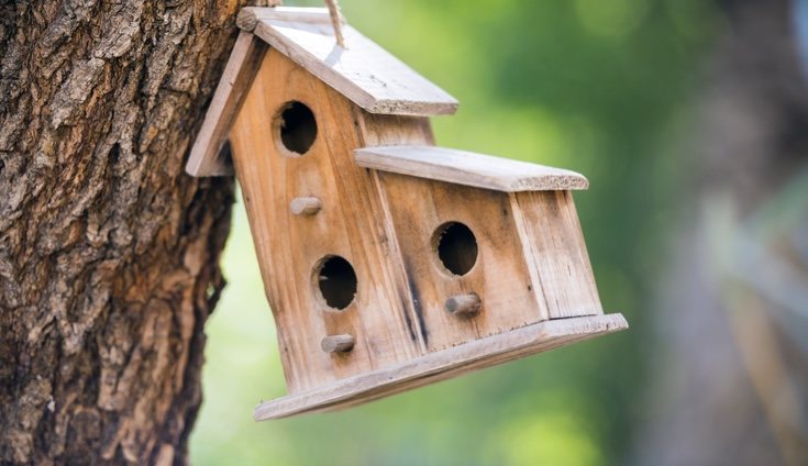 Una bonita casa para los pájaros