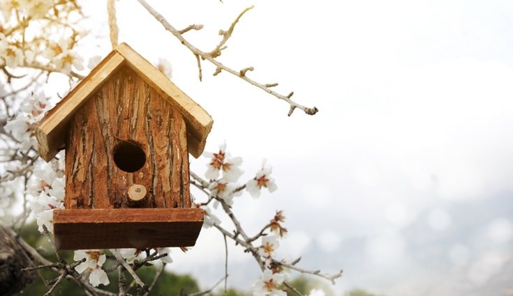 Sigue paso a paso las instrucciones para hacer la casita ideal