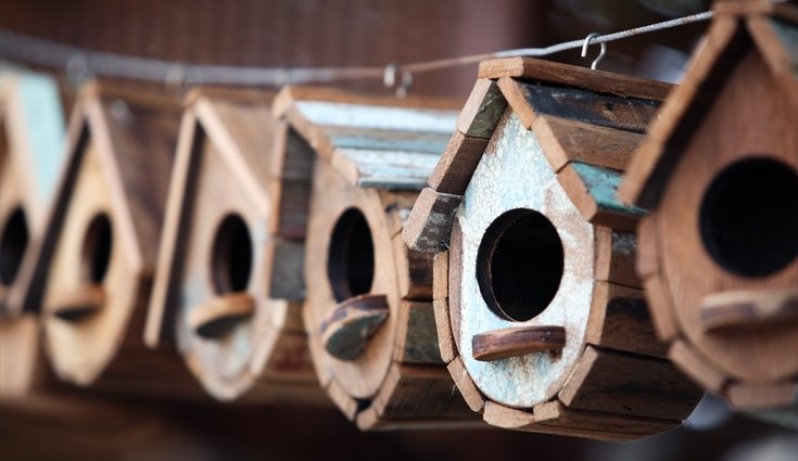Puedes decorar las casitas de pájaros a tu gusto, ya sea con un poco de pintura o usando barniz