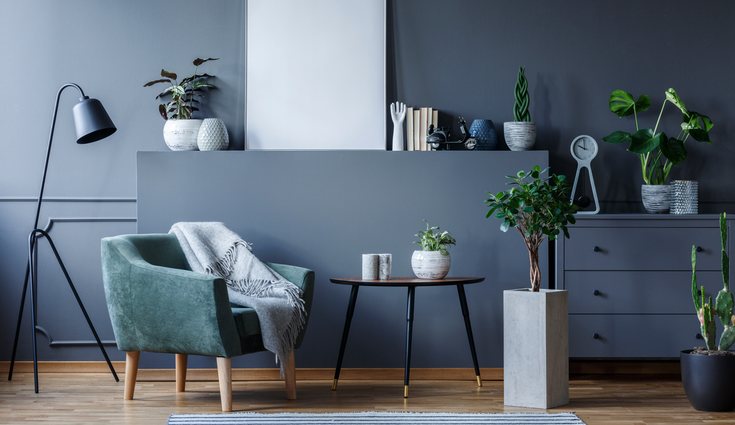 Todos los colores tienen una simbología y nos transmiten elementos basicos como tranquilidad o nerviosismo