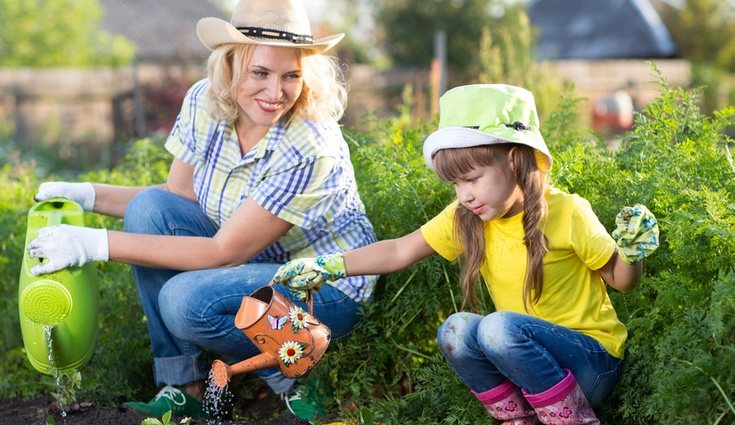 Procura que toda la zona de tu planta esté húmeda