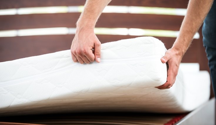 El picor de ojos, el insomnio y el dolor de garganta son algunos de los síntomas de la presencia de ácaros