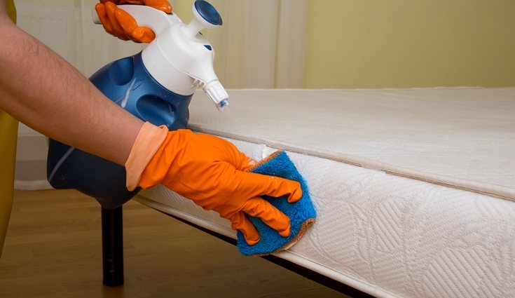 El aceite esencial de árbol de té es uno de los desinfectantes naturales más potentes que existen