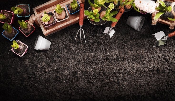 Asegúrate de contar con todos los materiales y herramientas necesarias antes de comenzar la siembra