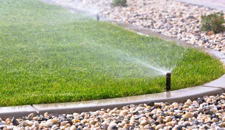 Lo ideal es contar con un sistema de riego automático
