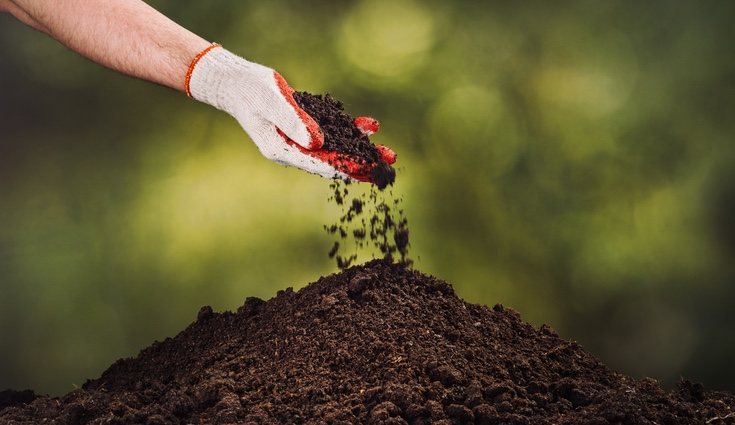 Hay que tener cuidado para no excederse con el abono