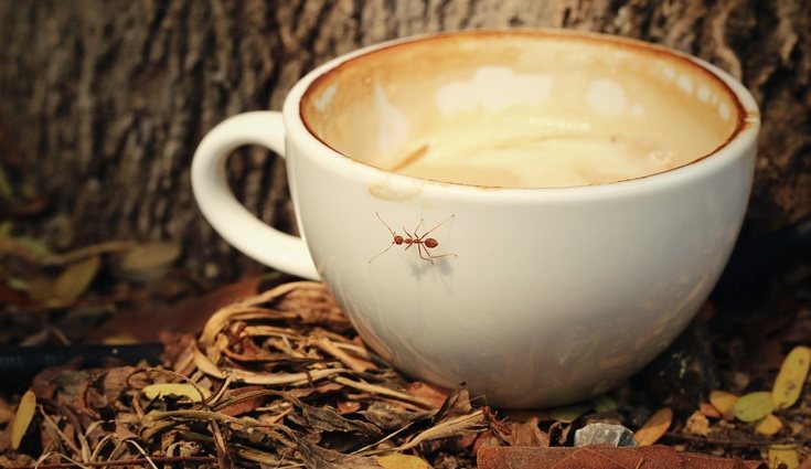 El poder de reciclar los desayunos