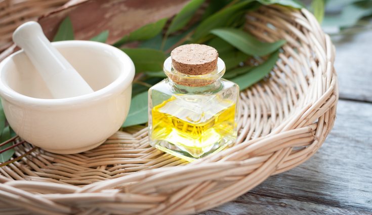 El aceite de eucalipto es uno de los trucos más antiguos