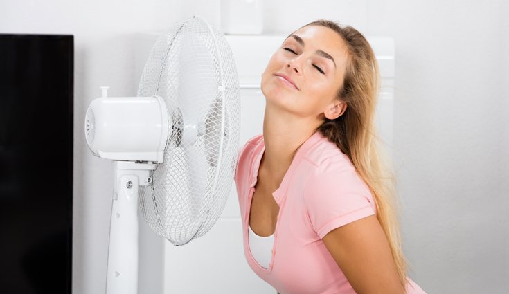 Las corrientes de aire son muy molestas para los insectos