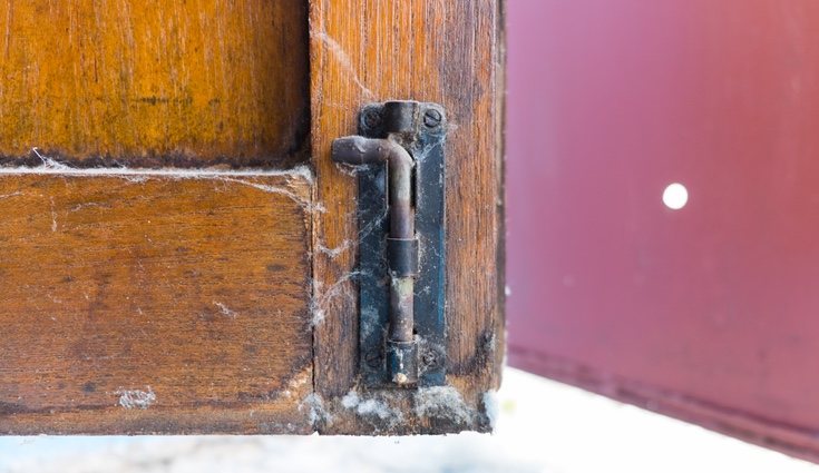 Cualquier sitio es un buen escondite para las arañas