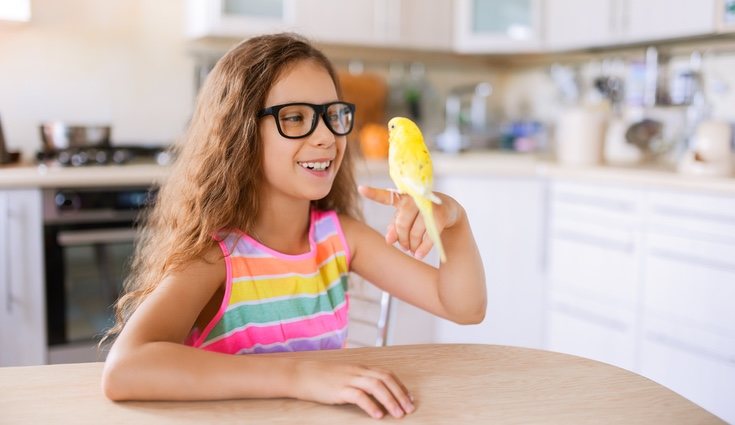 Intenta que los animales doméstico no estén cerca de humos y vapores de la cocina
