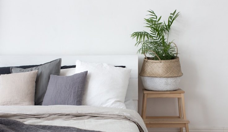 Es un elemento decorativo perfecto para cualquier habitación