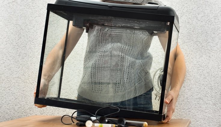 Elige un lugar que se adecue a la condiciones climáticas idóneas para los peces