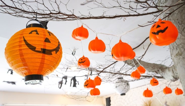 Las calabazas son la típica imagen de esta fiesta