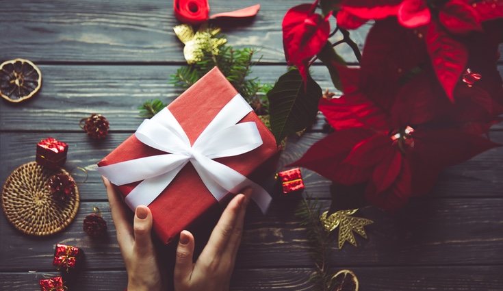 Existe la posibilidad de conservar esta planta una vez pasada navidad