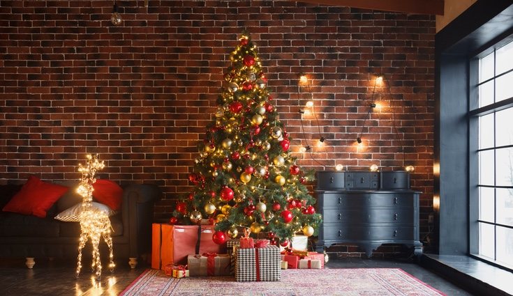 Es el árbol más usado en Navidad