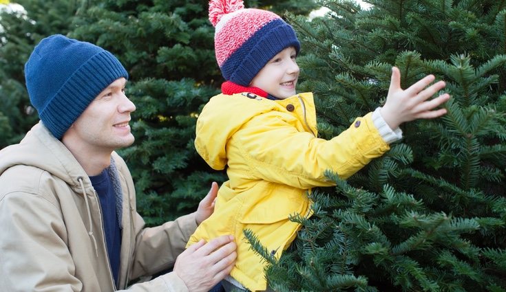 Aprende a darle los cuidados básicos
