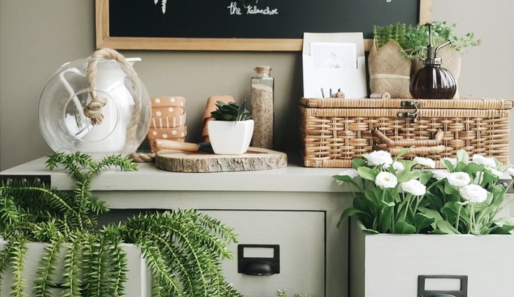 Llega tu hogar o tu casa de plantas