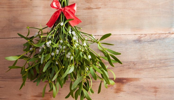 Se cree que besarse debajo del muérdago transfiere salud y fuerza a la pareja