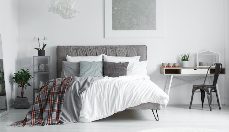 Los tonos neutros son una gran apuesta para dar más luz por su base clara