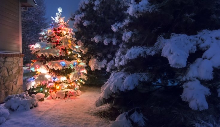 Esta época del año se caracteriza por su decoración en los hogares