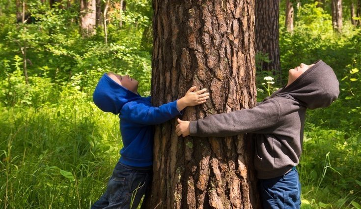 Hay que ayudar a cuidar el medio ambiente