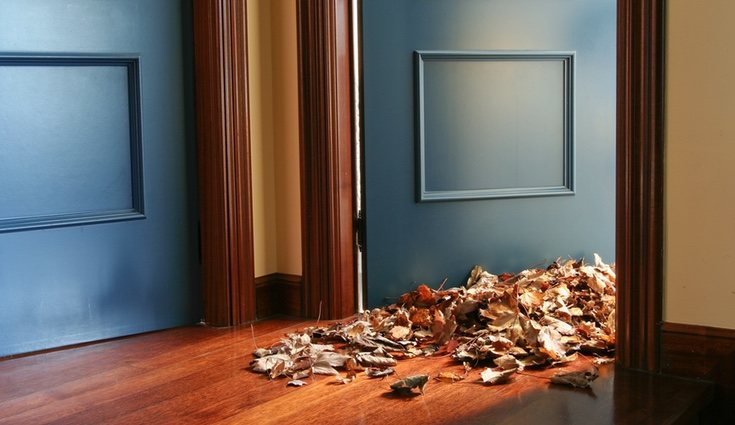 Para saber cómo limpiar tu tarima debes conocer los diferentes tipos que existen