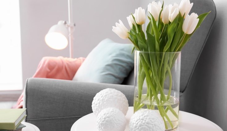 Recuerda que las plantas naturales serán siempre tu mejor aliado