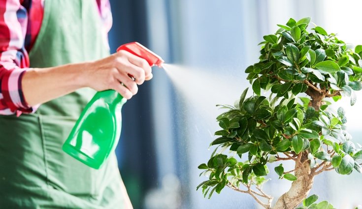 Es muy importante mantenerse informado para realizar el riego