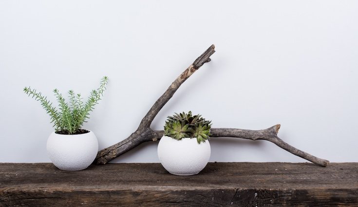 Crean una estancia acogedora