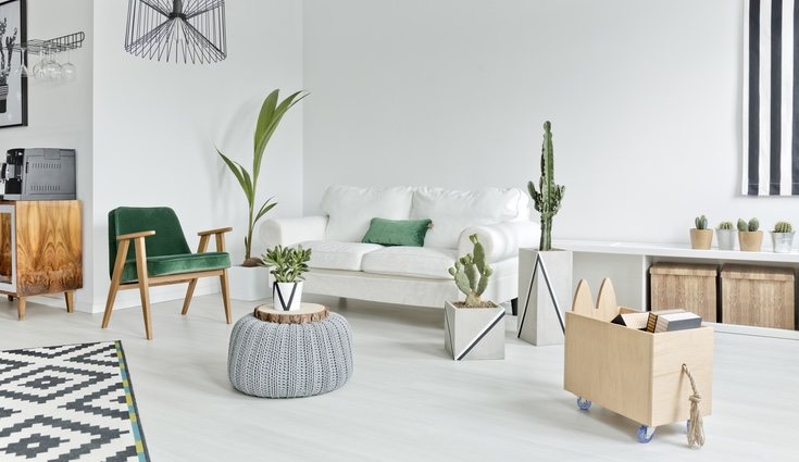 Llega desde el norte de Europa (Finlandia, Noruega o Dinamarca)