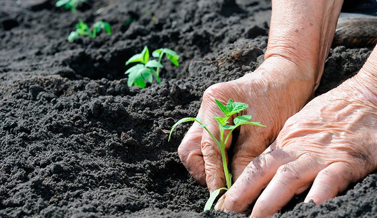 Elige la forma de acumular la tierra que mejor se adapta a tu espacio