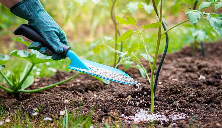 Elige un abono correcto en función del tipo de suelo