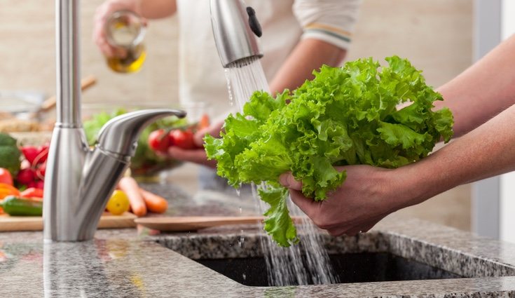 La mejor época para plantar son en meses con temperaturas más altas