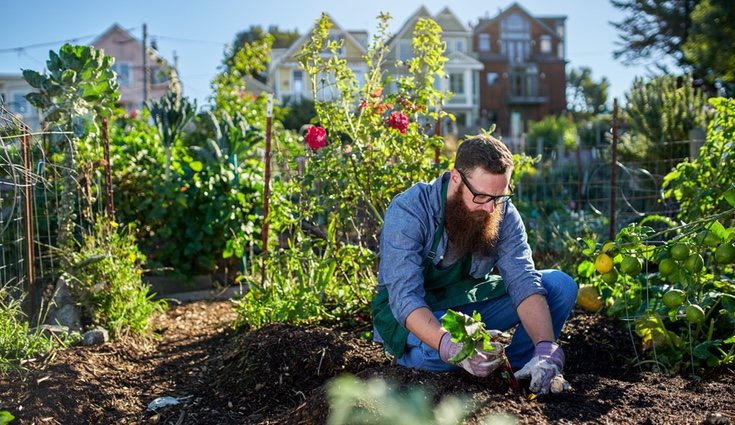Con esta app descubrirás cuando tienes que plantar las frutas y verduras